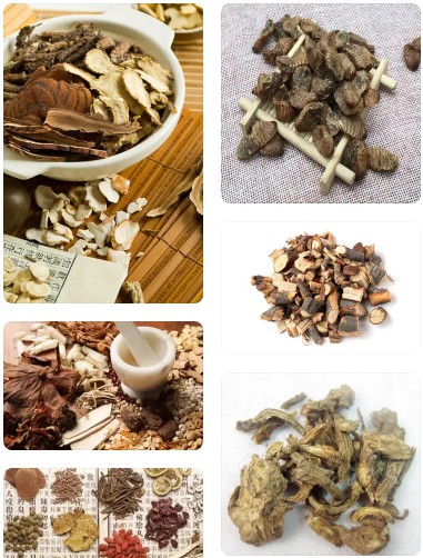 動物促生長增肥原生中草藥組方——效果直觀可見，生長速度提高顯著，降低料耗提前出欄