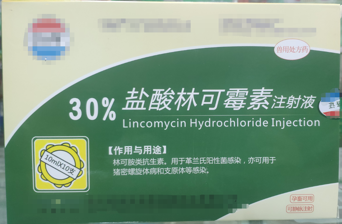 30%林可霉素注射液，用于革蘭氏陽性菌感染，亦用于母蓄的產(chǎn)后消炎，亦可用于豬密螺旋體和支原體感染