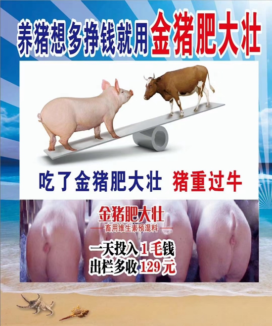 養(yǎng)豬想多掙錢就用金豬肥大壯--1天投入1毛錢，提前出欄13天，多長(zhǎng)20斤，就是牛