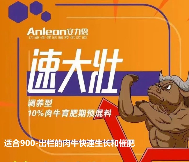 安力恩——速達壯調(diào)養(yǎng)型10%肉牛育成期預(yù)混料-適合900-出欄的肉牛快速生長和催肥