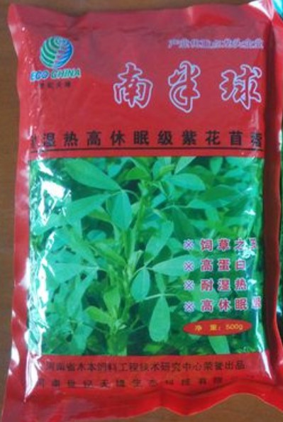 南半球紫花苜蓿,富含粗蛋白、維生素和礦物質及動物必需的氨基酸優質牧草