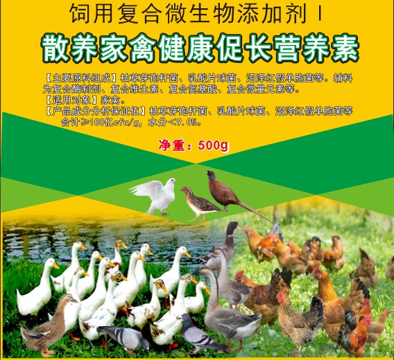 散養家禽健康促長營養素，散養土雞土鴨促長營養素，散養土蛋雞增產保健營養素