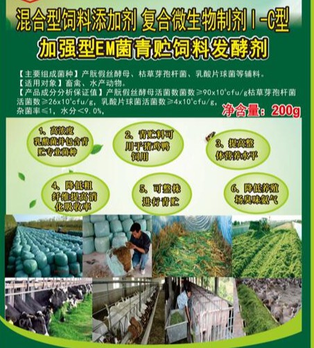 加強(qiáng)型EM菌青貯飼料專用發(fā)酵劑，真正的專業(yè)菌種更好的青貯飼料發(fā)酵劑，發(fā)酵成功率高速度快，香醇可口，牛羊喜吃，連豬雞都搶吃