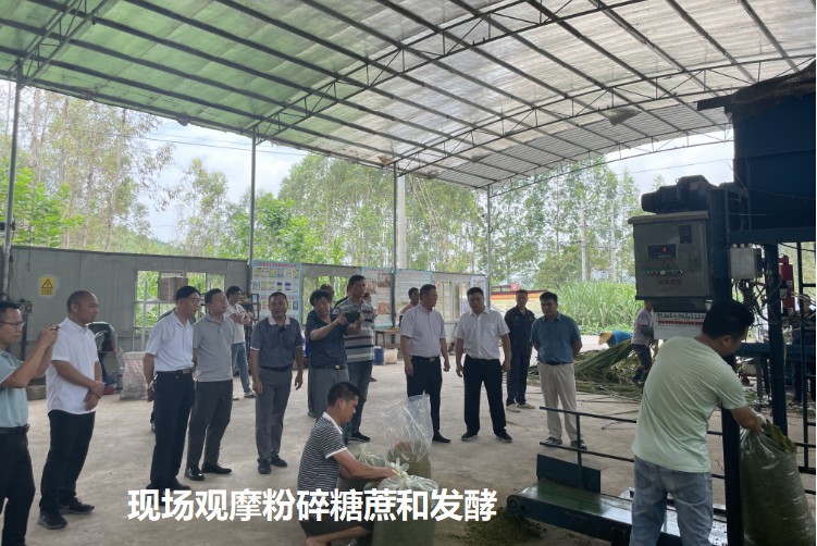 現場觀摩粉碎糖蔗和發酵.jpg 現場觀摩粉碎糖蔗和發酵.jpg