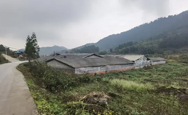 1723902505370.png 1723902505370.png