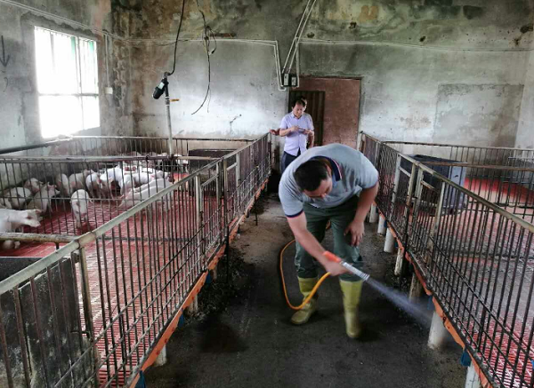 1723902631379.png 1723902631379.png