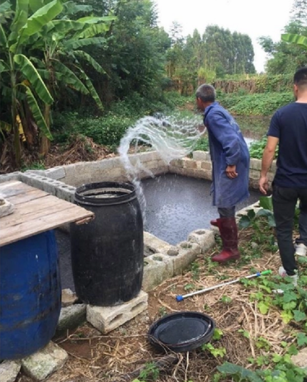 1723902776028.png 1723902776028.png