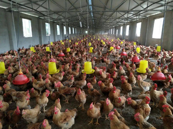 1723991288089.png 1723991288089.png