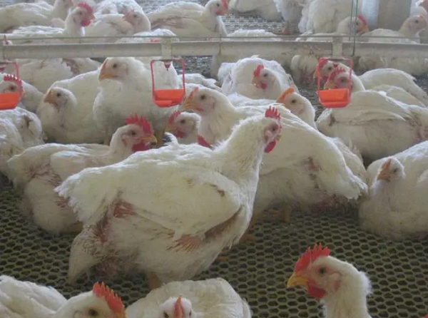 1723991322048.png 1723991322048.png