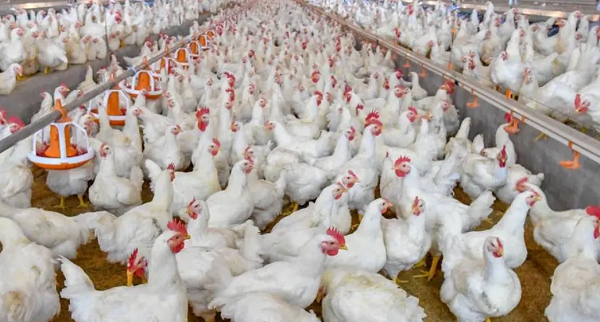 1723991425031.png 1723991425031.png