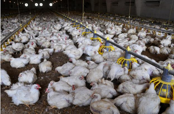 1723991360699.png 1723991360699.png