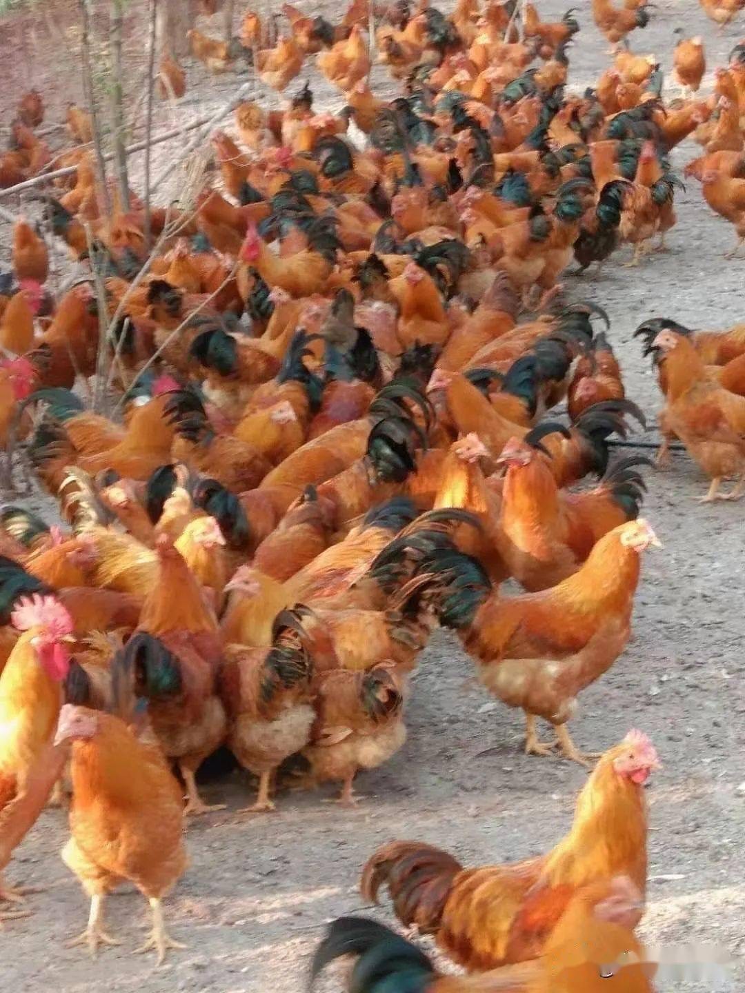 微信圖片_20240821105307.jpg 微信圖片_20240821105307.jpg