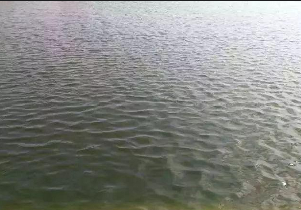 1724239109062.png 1724239109062.png