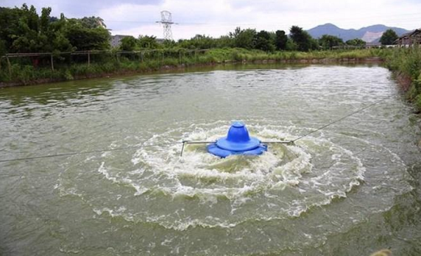 1724238982489.png 1724238982489.png