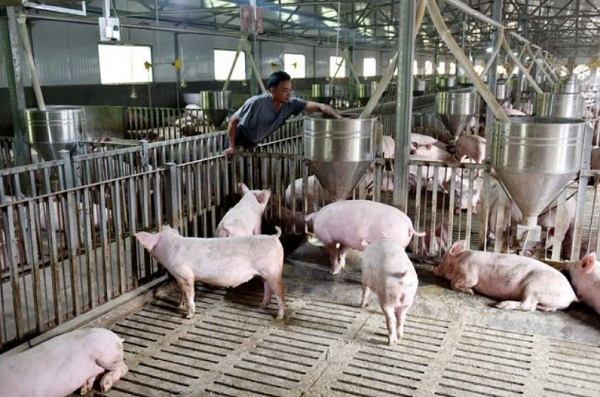 1724243724916.png 1724243724916.png