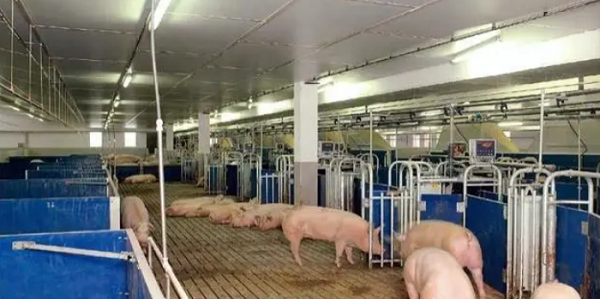 1724243847617.png 1724243847617.png