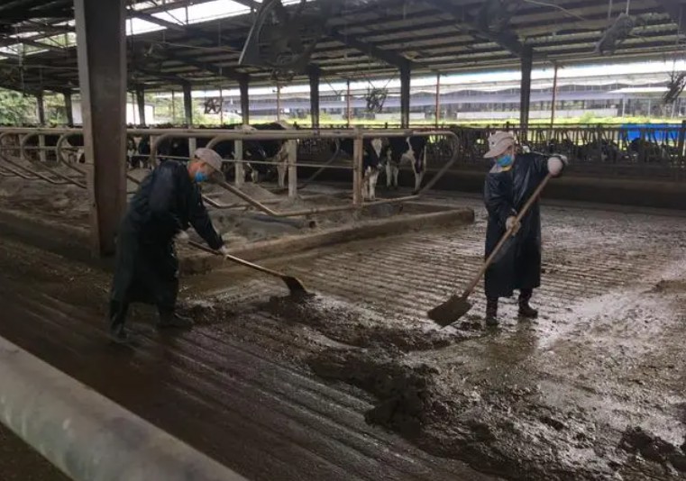 Snipaste_2024-08-21_22-13-19.jpg Snipaste_2024-08-21_22-13-19.jpg