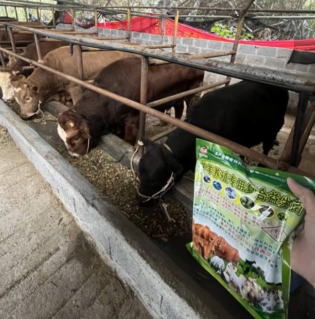 Snipaste_2024-08-21_22-10-10.jpg Snipaste_2024-08-21_22-10-10.jpg