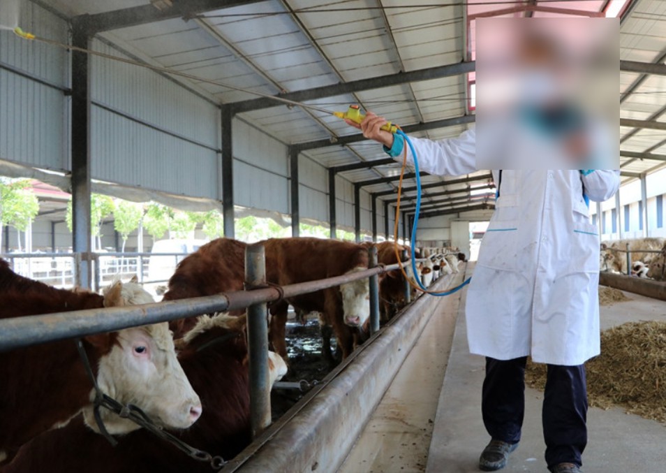 Snipaste_2024-08-21_22-06-48.jpg Snipaste_2024-08-21_22-06-48.jpg