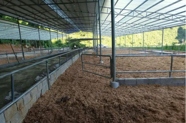 1675320289173633.png 1675320289173633.png