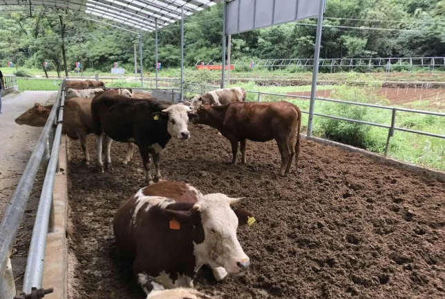 1675320304100767.png 1675320304100767.png