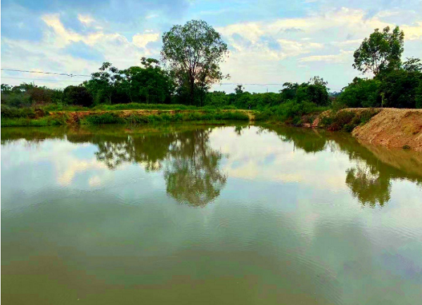 1724828939214.png 1724828939214.png