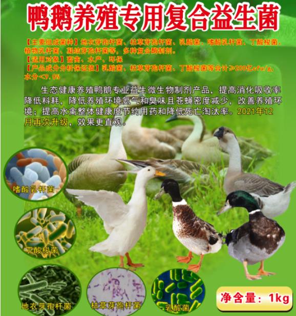 微信截圖_20240829112726.jpg 微信截圖_20240829112726.jpg