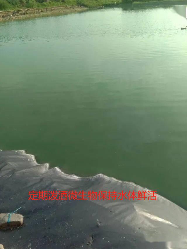 微信圖片編輯_20240829114131.jpg 微信圖片編輯_20240829114131.jpg