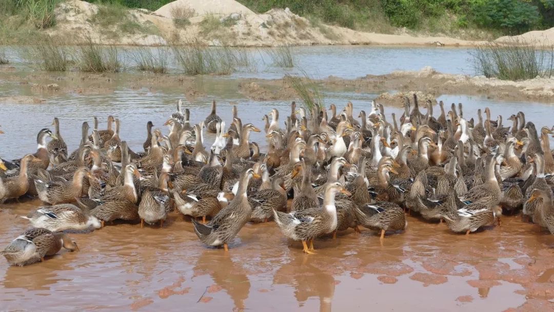 微信圖片_20240829114136.jpg 微信圖片_20240829114136.jpg