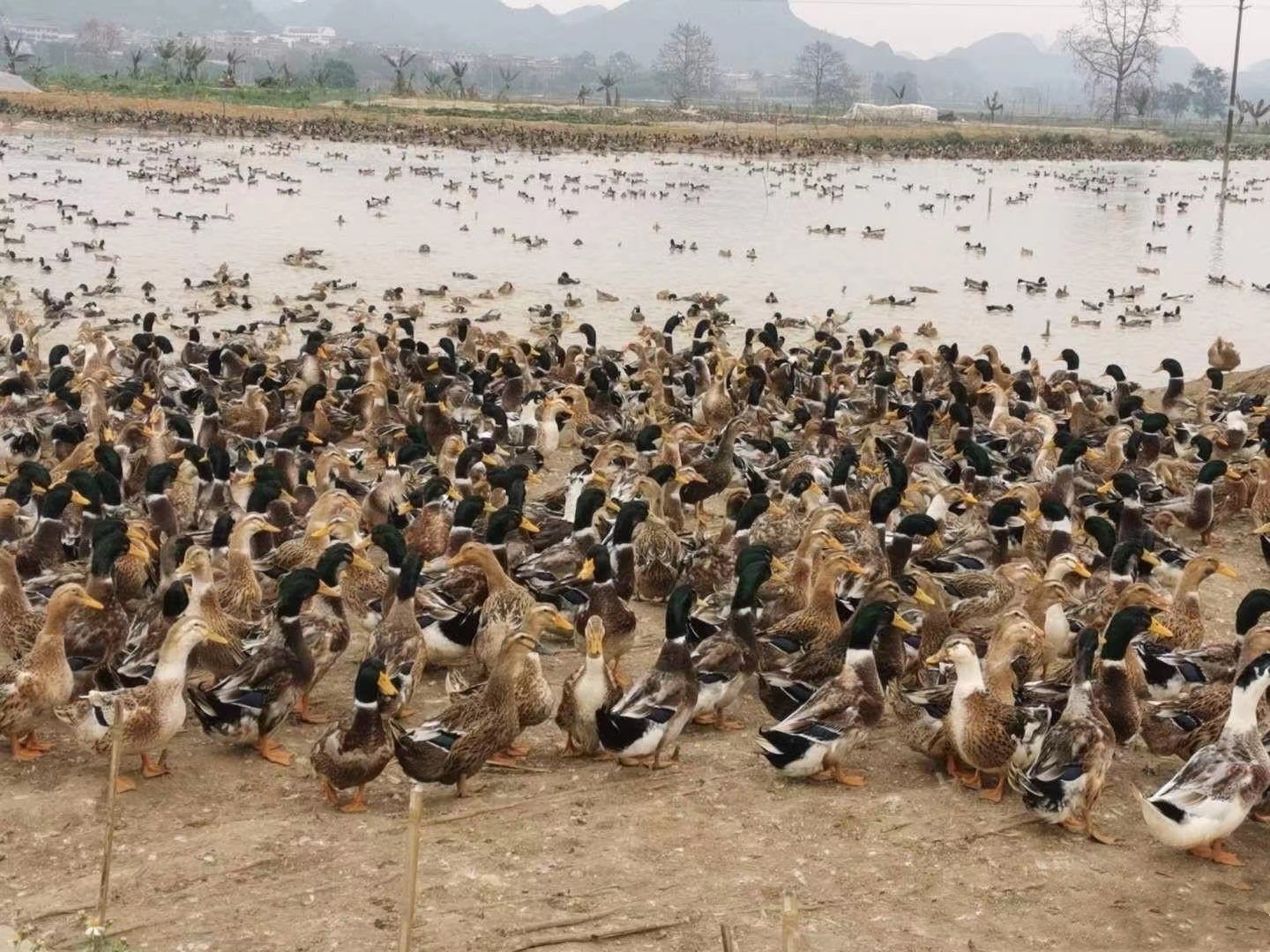 微信圖片_20240829114207.jpg 微信圖片_20240829114207.jpg