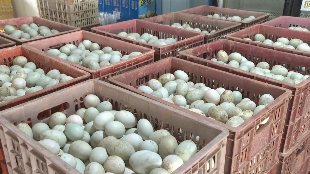 微信圖片_20240829114203.jpg 微信圖片_20240829114203.jpg