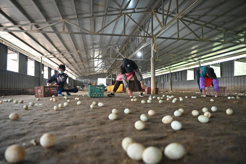 微信圖片_20240829114156.jpg 微信圖片_20240829114156.jpg