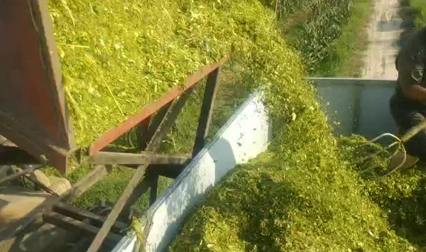 1725196564706.png 1725196564706.png