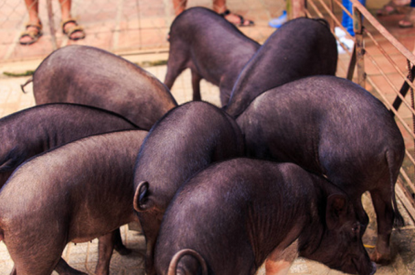 1725197001874.png 1725197001874.png