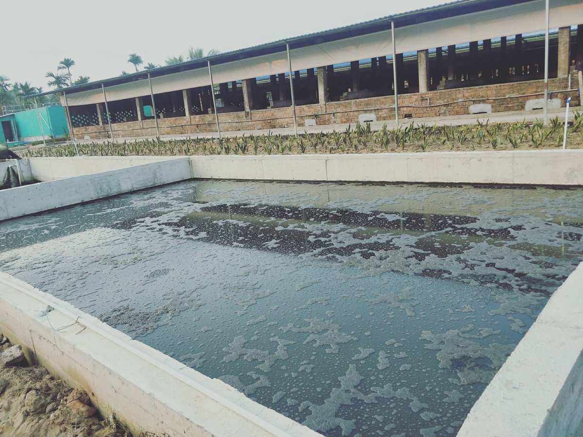 微信圖片_20240903170947.jpg 微信圖片_20240903170947.jpg