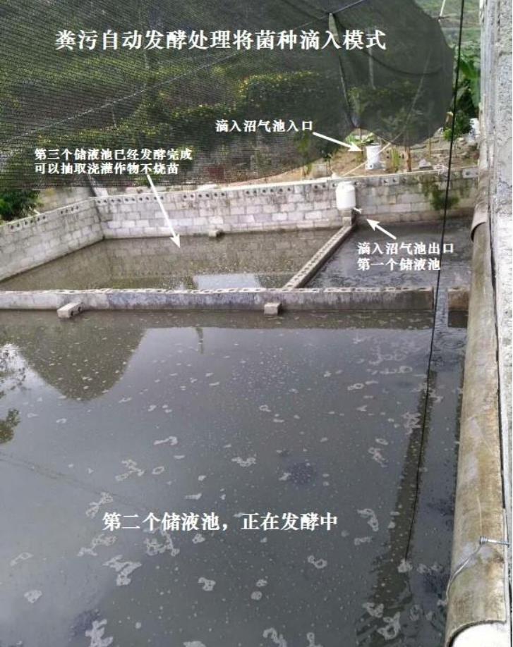 17248071509864561.jpg 17248071509864561.jpg