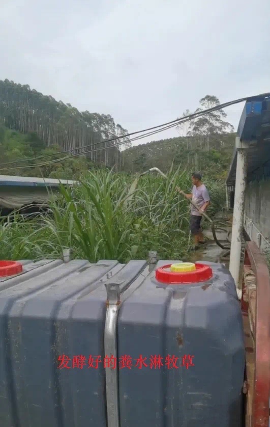 17248090076123029.jpg 17248090076123029.jpg