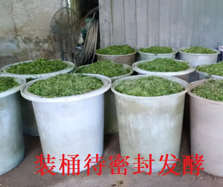 圖片1.png 圖片1.png