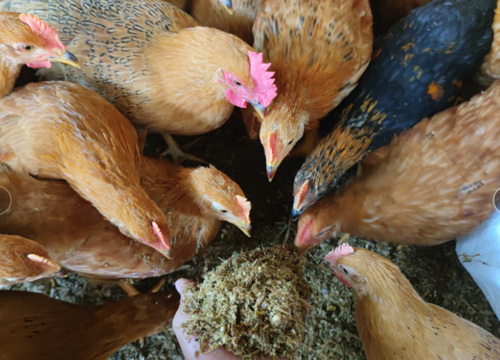 圖片2.png 圖片2.png