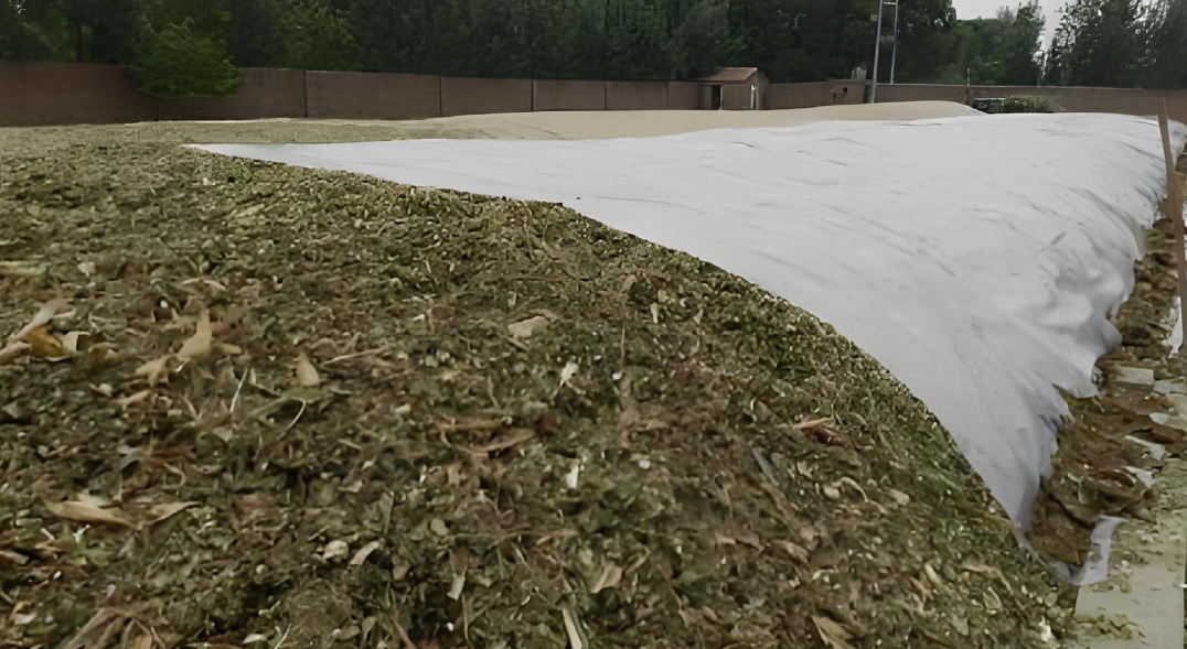 圖片3.png 圖片3.png