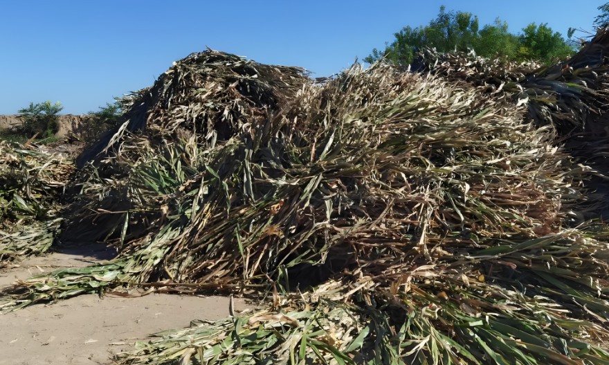 Snipaste_2024-09-09_00-03-27.jpg Snipaste_2024-09-09_00-03-27.jpg