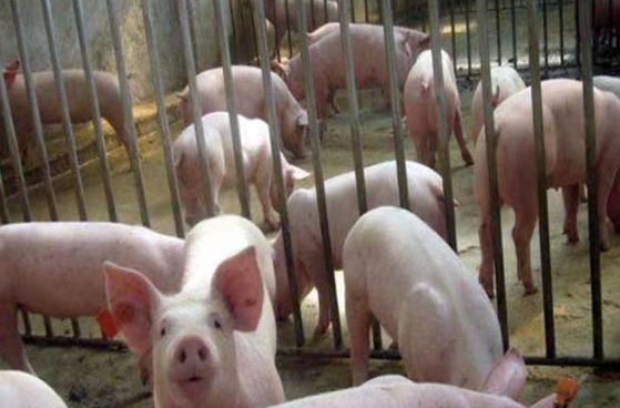 QQ瀏覽器截圖20241010105915.png QQ瀏覽器截圖20241010105915.png