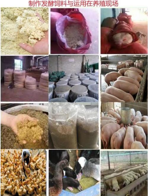 微信截圖_20241009160507.jpg 微信截圖_20241009160507.jpg