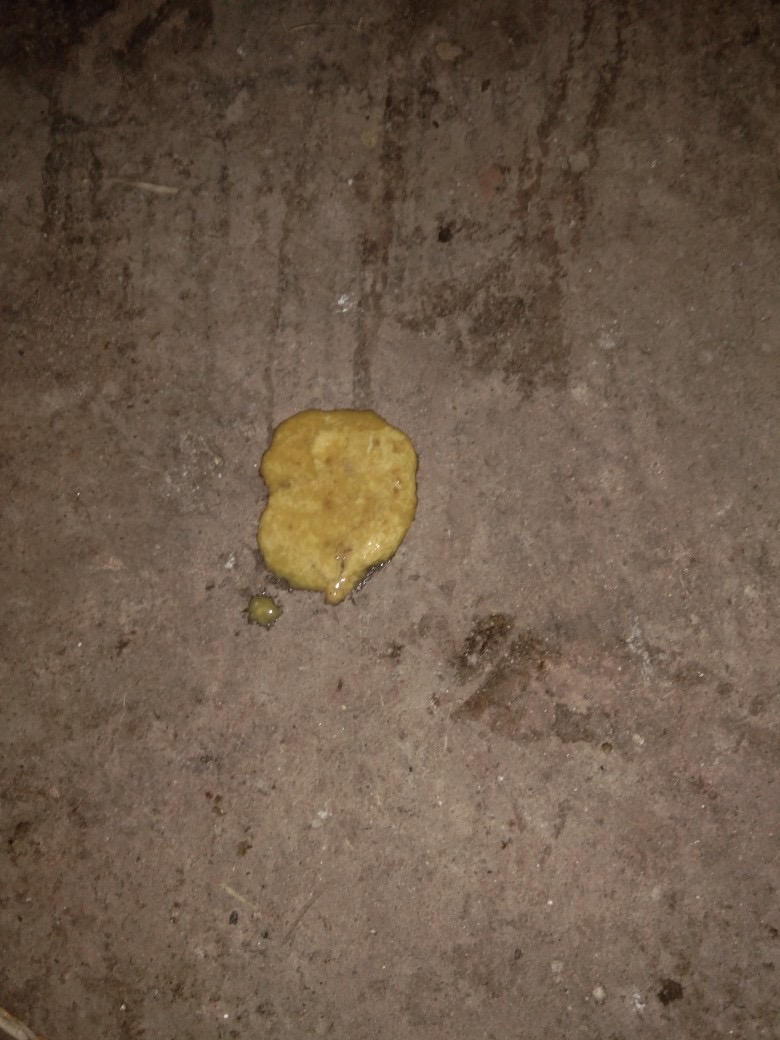 微信圖片_20241011100931.jpg 微信圖片_20241011100931.jpg