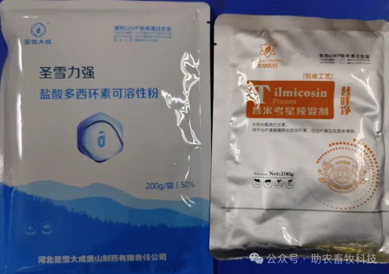 bd3480143818e64e15d09bff02fed5b.jpg bd3480143818e64e15d09bff02fed5b.jpg