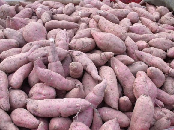 微信圖片_20241014103150.jpg 微信圖片_20241014103150.jpg