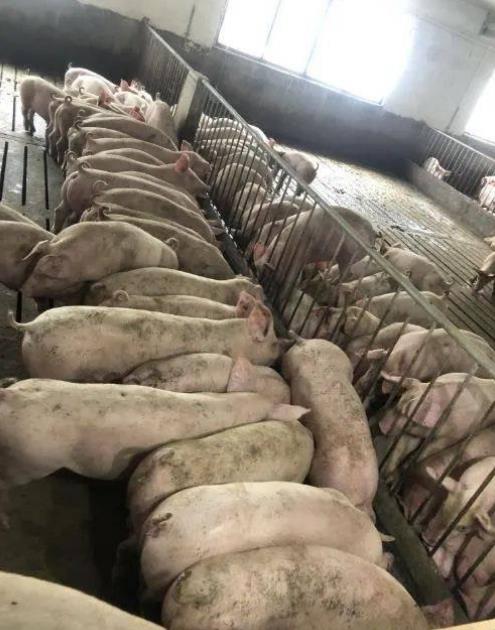 微信截圖_20241014103219.jpg 微信截圖_20241014103219.jpg