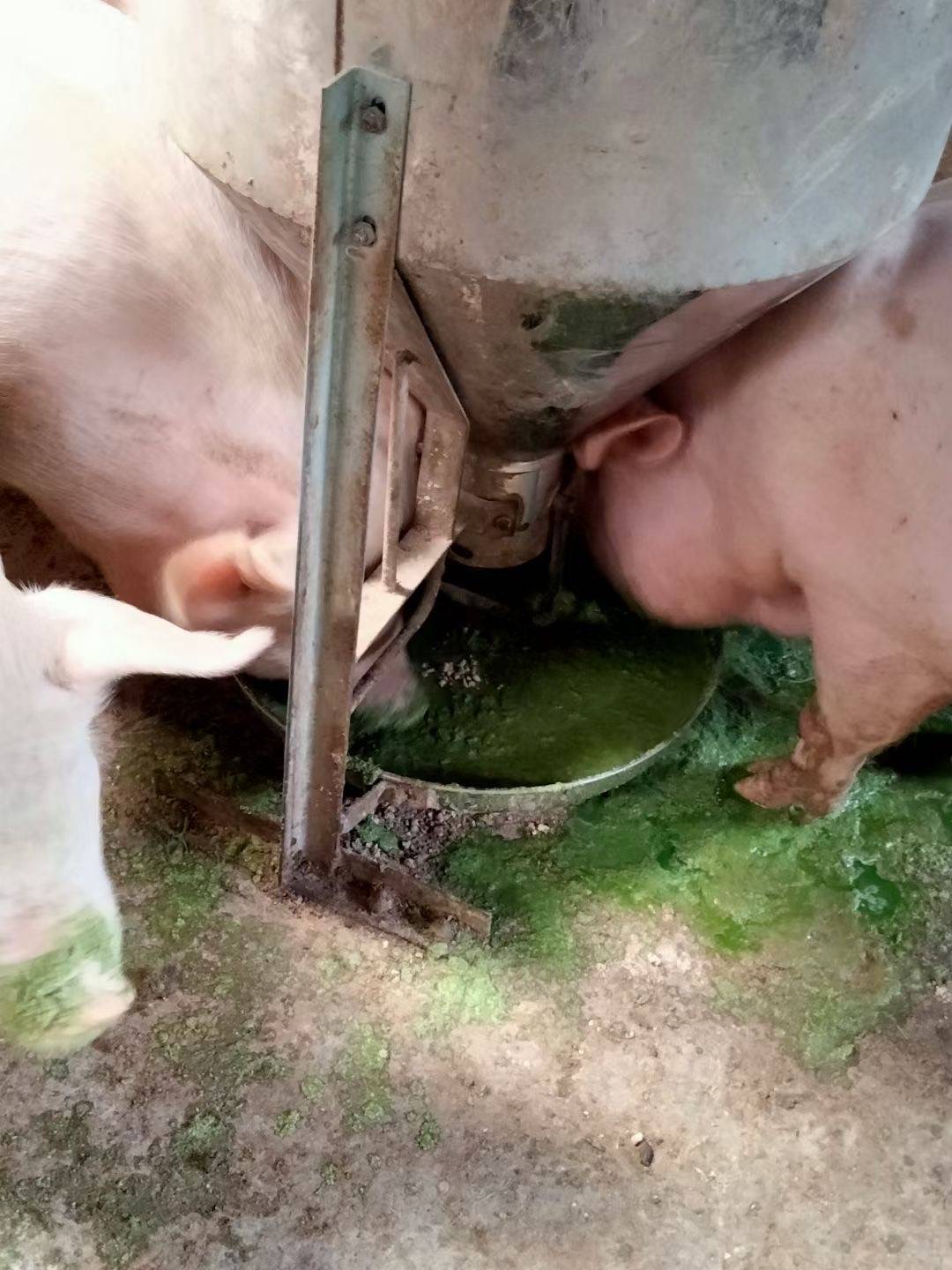 微信圖片_20241015111901.jpg 微信圖片_20241015111901.jpg