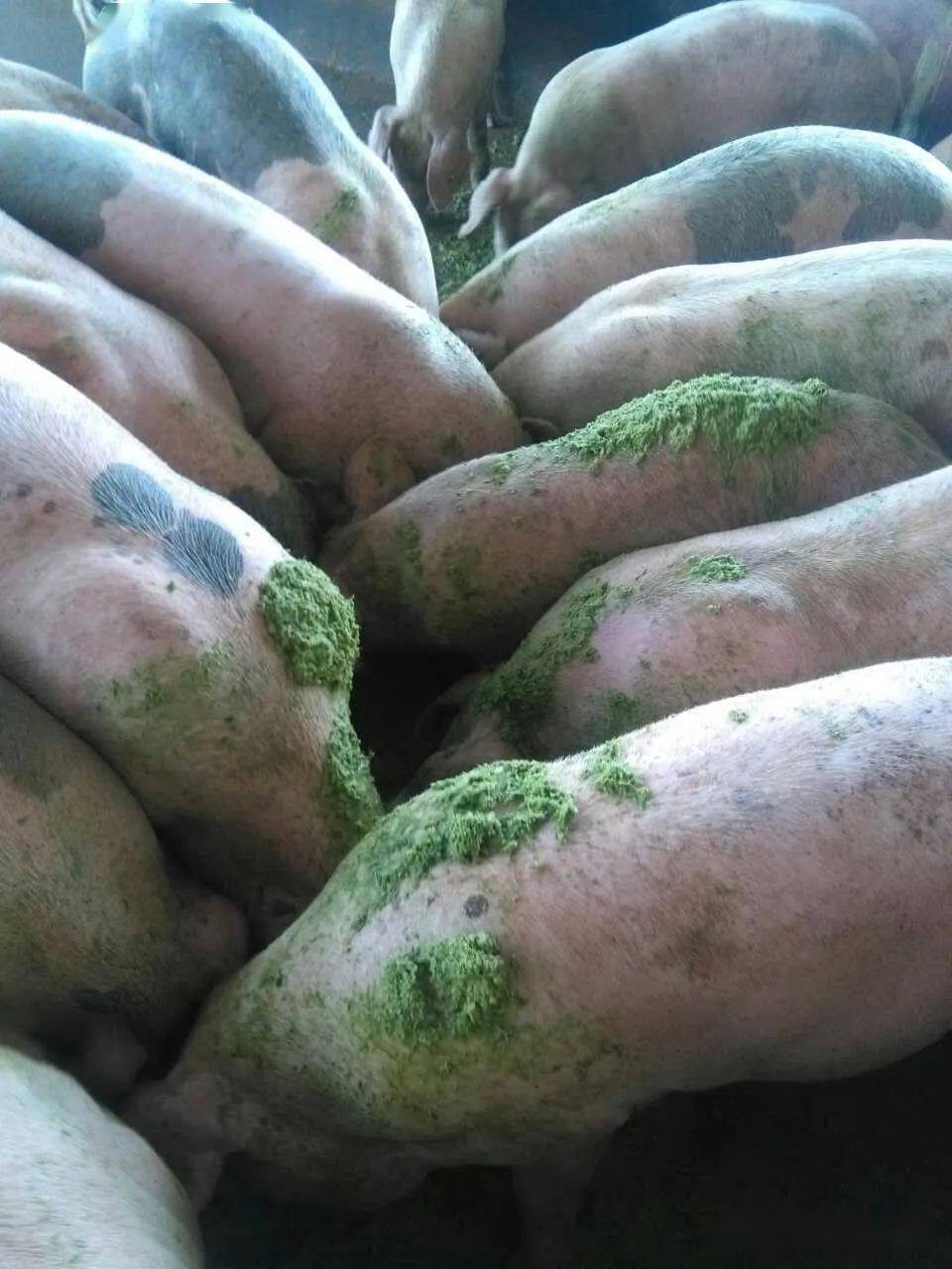 微信圖片_20241015111908.jpg 微信圖片_20241015111908.jpg