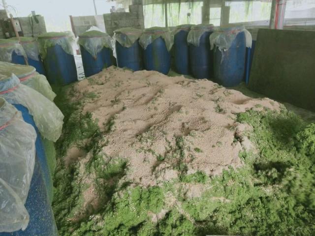 微信圖片_20241015111857.jpg 微信圖片_20241015111857.jpg